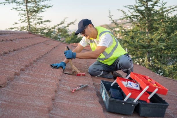 Quick and Trustworthy Emergency Roof Repair Services in Mount Prospect, IL