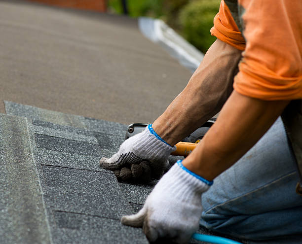 Roof Installation Near Me in Mount Prospect, IL